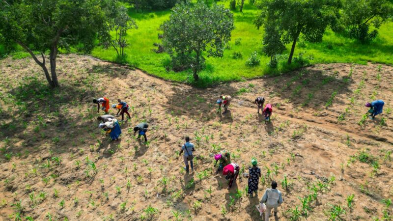 Four ideas that can help Ghana preserve food security when the next drought hits