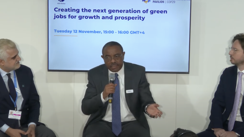 COP29: AGRA Board Chair Challenges Africa to Take Advantage of Climate Change to Create Jobs